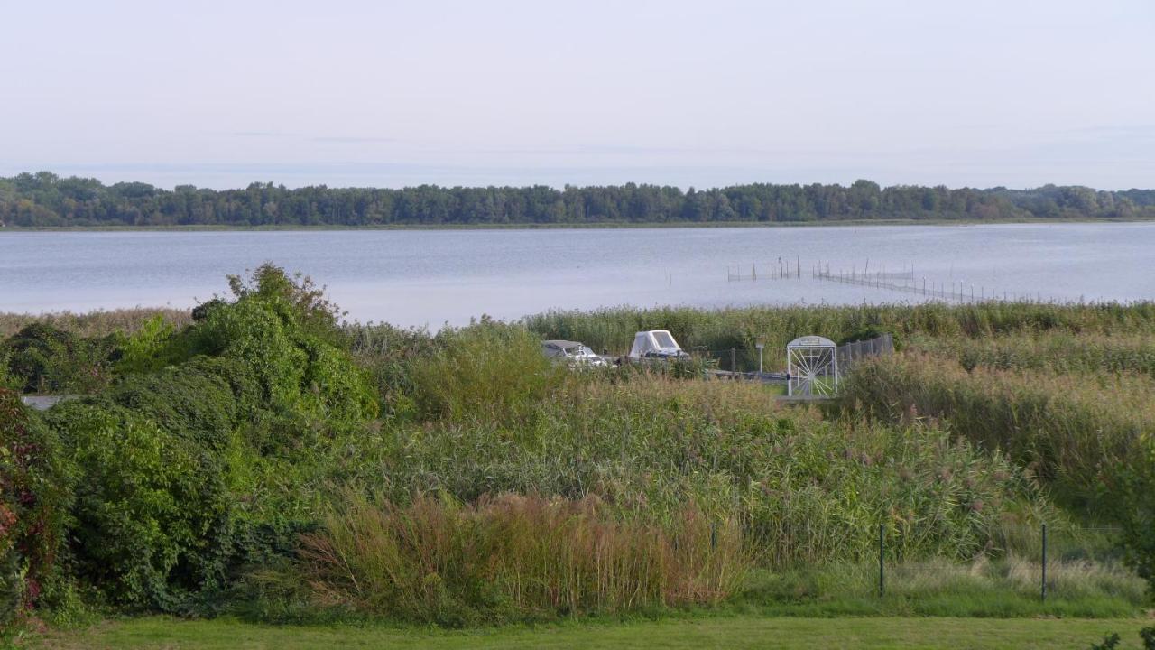 Pension Am Bodden リーブニッツ・ダムガルテン エクステリア 写真